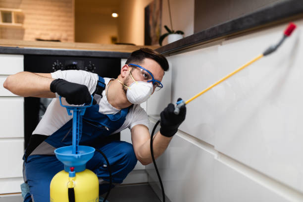 Best Best Pest Control Companies  in West Samoset, FL