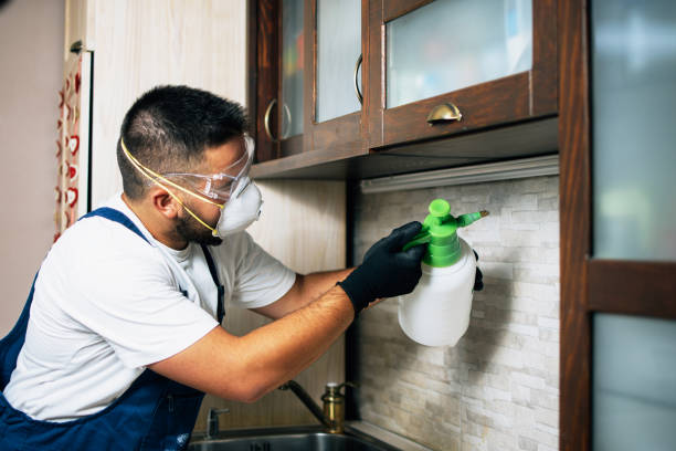 Best Affordable Pest Control Services  in West Samoset, FL