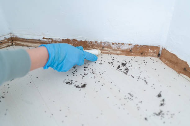 Best Pest Inspection Near Me  in West Samoset, FL